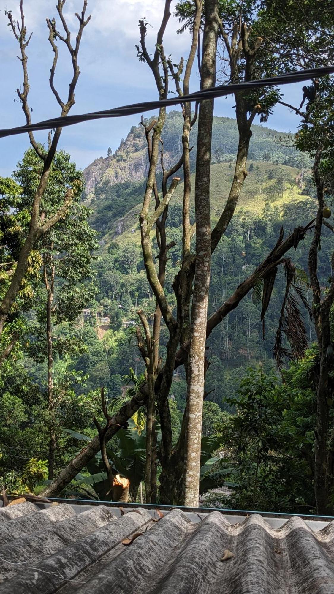 Ella Nature Nest Buitenkant foto