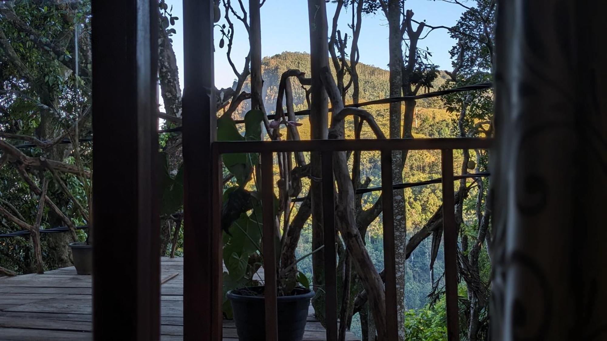 Ella Nature Nest Kamer foto